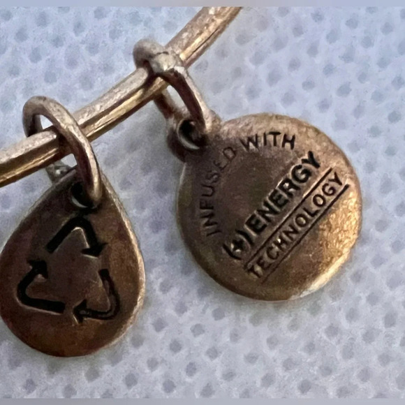 Alex and Ani | Apple of Abundance charm bracelet - Picture 8 of 16